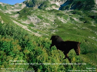 He aprendido... Que puedes hacer algo en un instante que te causará dolor de por vida.  