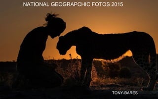 NATIONAL GEOGRAPCHIC FOTOS 2015
TONY-BARES
 