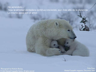 He aprendido...  Que la amistad verdadera continua creciendo, aún más allá de la distancia. Lo mismo pasa con el amor.  