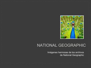 National geographic Imágenes hermosas de los archivos de NationalGeographic 