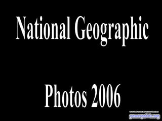 National Geographic Photos 2006 