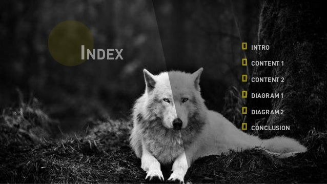 Free Dog Training Videos Online Free Dog Training Videos Online
