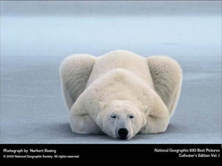 Fotos National geographic 