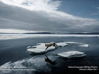 Fotos National geographic 