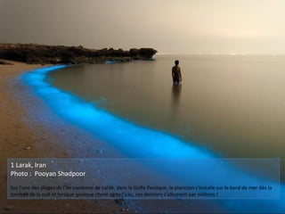 1 Larak, Iran
Photo : Pooyan Shadpoor
Sur l'une des plages de l’île iranienne de Larak, dans le Golfe Persique, le plancton s'installe sur le bord de mer dès la
tombée de la nuit et lorsque quelque chose agite l’eau, ces derniers s’allument par millions !
 