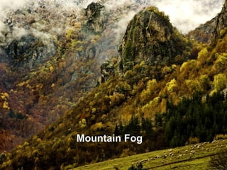 Mountain Fog
 