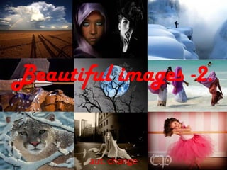 National geographic photo winners 2012