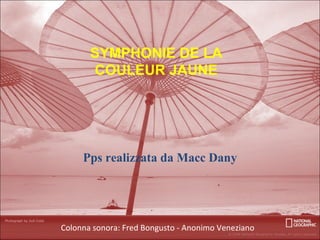 Pps realizzata da Macc Dany Colonna sonora: Fred Bongusto - Anonimo Veneziano SYMPHONIE DE LA COULEUR JAUNE 