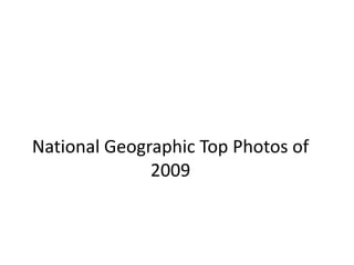 National Geographic Top Photos of 2009 