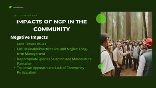 NJP-BRI Group
IMPACTS OF NGP IN THE
COMMUNITY
L E T ' S S U P P O R T N G P
Negative Impacts
• Land Tenure Issues
• Unsustainable Practices and and Neglect Long-
term Management
• Inappropriate Species Selection and Monoculture
Plantation
• Top-down Approach and Lack of Community
Participation
 
