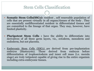 Stem Cells Classification
 Somatic Stem Cells(SSCs): resident , self renewable population of
cells that are present virtually in all organs/tissues of the body . They
are essentially undifferentiated resident in differentiated tissues and
are committed to the lineage of that organ. They may, however, have
limited plasticity.
 Pluripotent Stem Cells : have the ability to differentiate into
derivatives of all three germ layers, viz., ectoderm, mesoderm and
endoderm, but not placenta.
- Embryonic Stem Cells (ESCs) are derived from pre-implantation
embryos (blastocysts). Those derived from embryos before
differentiation of trophoectoderm and inner cell mass (i.e. morula
stage) are truly totipotent capable of giving rise to the entire organism
including extra-embryonic tissues.
 
