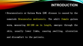 INTRODUCTION
• Dracunculosis or Guinea Worm (GW) disease is caused by the
nematode Dracunculus medinensis. The adult female guinea
worm, measuring 60-100 cm in length, emerges through the
skin, usually lower limbs, causing swelling, ulceration
and discomfort to the patients.
 