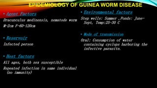 EPIDEMIOLOGY OF GUINEA WORM DISEASE
• Agent Factors
Dracunculus medinensis, nematode worm
M-2cm F-60-120cm
• Reservoir
Infected person
• Host factors
All ages, both sex susceptible
Repeated infection in same individual
(no immunity)
• Environmental factors
Step wells: Summer ,Ponds: June-
Sept, Temp:25-30 C
• Mode of transmission
Oral: Consumption of water
containing cyclops harboring the
infective parasite.
 