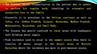 • The disease causes incapacitation to the patient who is unable
to perform his regular work, resulting in economics and
production loss to the family.
• Presently it is prevalent in the African continent as well as
India, viz. Andhra Pradesh, Gujarat, Karnataka, Madhya Pradesh,
Maharashtra, Rajasthan, and Tamil Nadu.
• The disease was mostly confined to rural areas with inadequate
safe drinking water supply.
• Peak incidence used to occur in the summer season when there is
scarcity of water, except in the desert areas of Western
Rajasthan where the incidence was more in post-monsoon season.
 