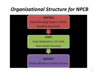 Nppd Org Chart National health programes for non communicable disease | PPTX