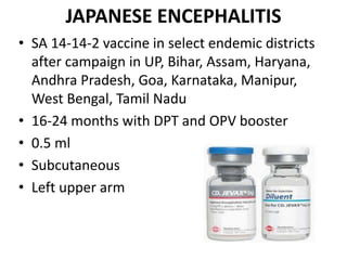 JAPANESE ENCEPHALITIS
• SA 14-14-2 vaccine in select endemic districts
after campaign in UP, Bihar, Assam, Haryana,
Andhra Pradesh, Goa, Karnataka, Manipur,
West Bengal, Tamil Nadu
• 16-24 months with DPT and OPV booster
• 0.5 ml
• Subcutaneous
• Left upper arm
 