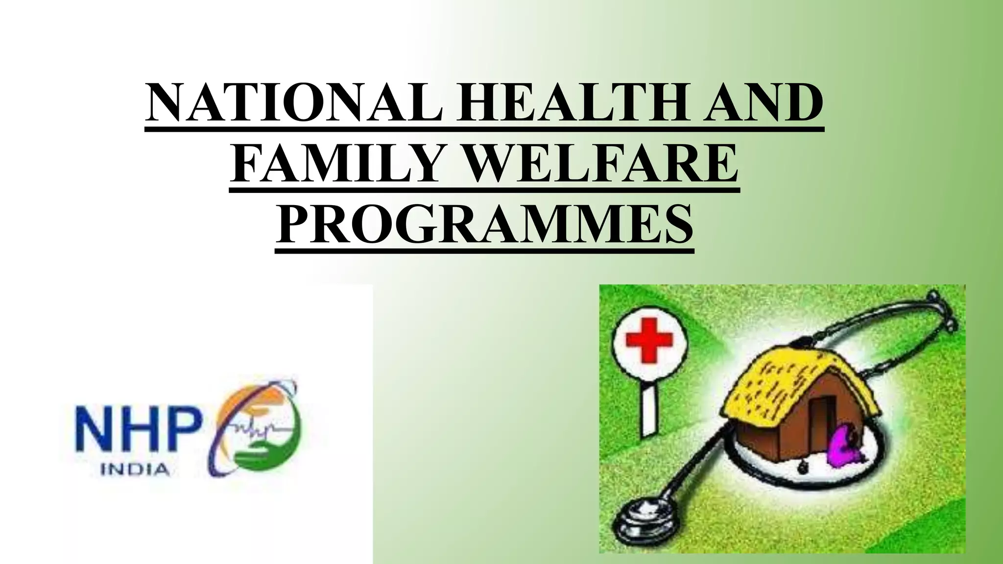 Program Image