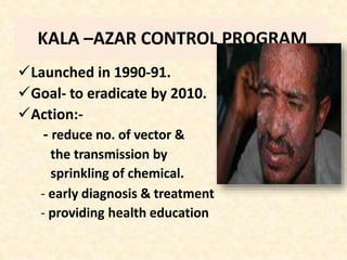 KALA –AZAR CONTROL PROGRAM
Launched in 1990-91.
Goal- to eradicate by 2010.
Action:-
- reduce no. of vector &
the transmission by
sprinkling of chemical.
- early diagnosis & treatment
- providing health education
 