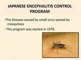 JAPANESE ENCEPHALITIS CONTROL
PROGRAM
-This Disease caused by small virus spread by
mosquitoes
- This program was started in 1978.
 