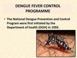 DENGUE FEVER CONTROL
PROGRAMME
• The National Dengue Prevention and Control
Program were first initiated by the
Department of health (DOH) in 1993.
 
