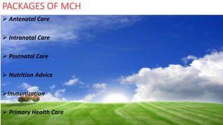 PACKAGES OF MCH
 Antenatal Care
 Intranatal Care
 Postnatal Care
 Nutrition Advice
Immunization
 Primary Health Care
 