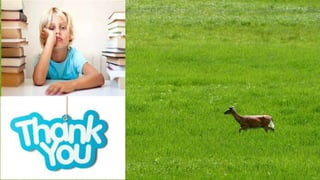 NATIONAL HEALTH PROGRAMME'S