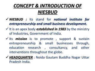 National institute for entrepreneurship and small           business development