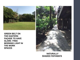 NATURALLY
SHADED PATHWAYS
GREEN BELT ON
THE EASTERN
FAÇADE TO HAVE
GLARE- FREE
MORNING LIGHT IN
THE WORK
SPACES
 
