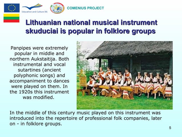 National lithuanian musical instrument | PPT