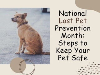 National
Lost Pet
Prevention
Month:
Steps to
Keep Your
Pet Safe
 