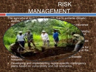 National mission for sustainable agriculture | PPTX