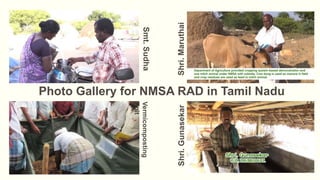 National Mission for Sustainable Agriculture (NMSA) 1.pptx