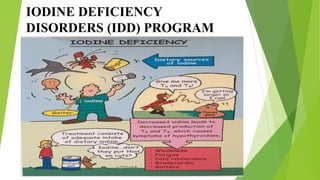 IODINE DEFICIENCY
DISORDERS (IDD) PROGRAM
 
