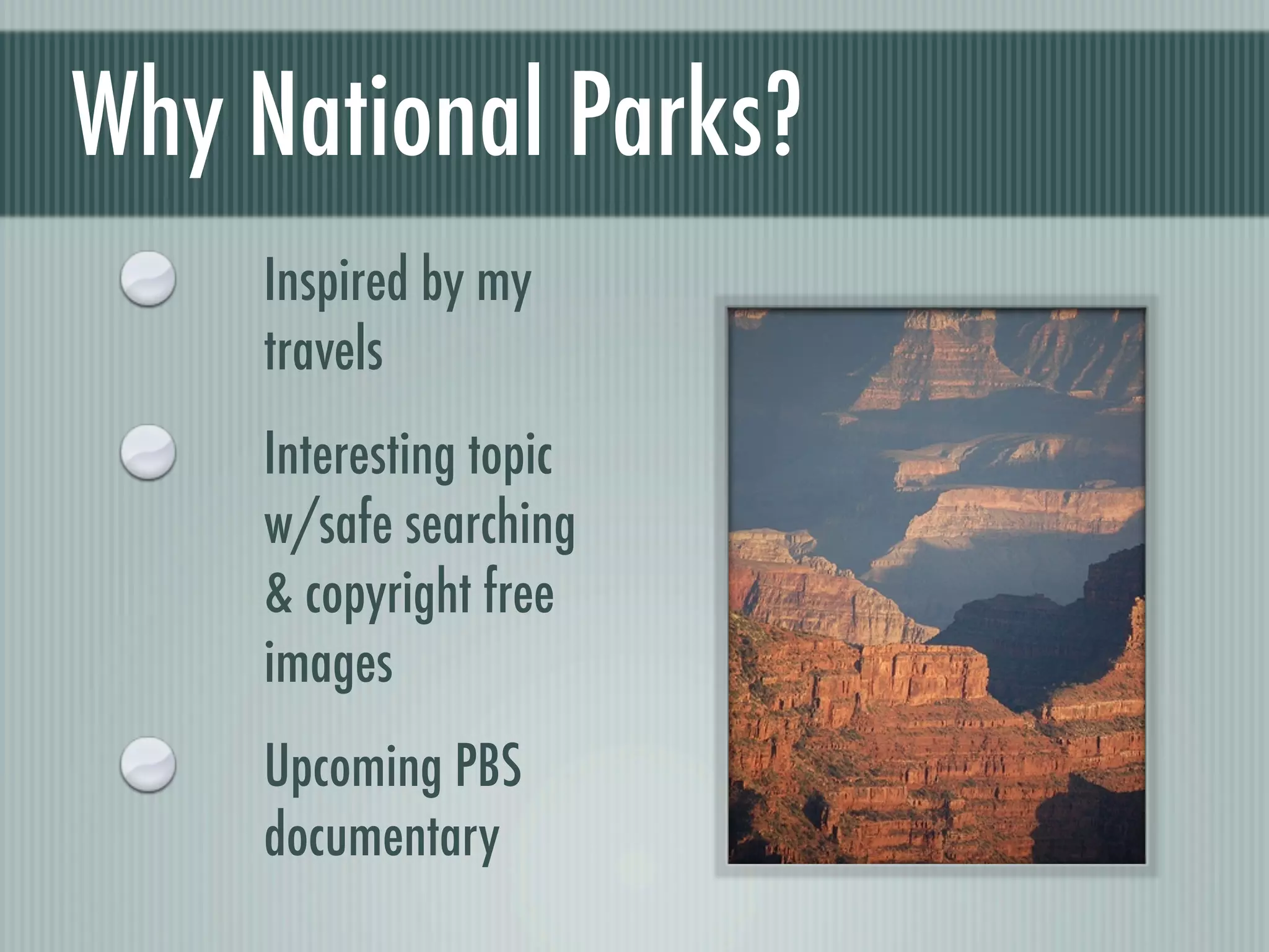 The National Park Project