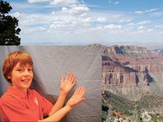 The National Park Project