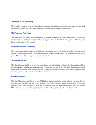 The Desert Scrub Community
This habitat contains several warm climate species, such as the creosote bush, white bursae, and
brittlebush. You will also find plants common to the American desert in this region!
The Ponderosa Pine Forest
The flora tends to change as the elevations go higher, between 6500-8200 feet. Plants found in this
region are those that can typically withstand higher altitudes. The White Fir, Aspen, and Blue Spruce
begin to dominate in this region!
Subalpine Grassland Community
This community is located above 8200 feet and is usually found only on the North Rim. Several types
of grass dominate this area. Examples include the blue and black grama, big galleta, and Indian Rice
grass. The wettest area supports sedges and forbs!
Threatened Species
The Grand Canyon is home to several endangered animal species, including the Kaibab squirrel, the
humpback chub, and the Kanab Ambersnail. These species play a crucial role in the ecosystem and
need to be protected. Unfortunately, air and noise pollution, rapid construction, fire suppression, and
invasive species continue to threaten their survival!
Rare Plant Species
The Grand Canyon is also home to over 1700 plant species excluding moss, lichens, and fungi. Some
species are incredibly rare and could be lost if the Grand Canyon cannot sustain them. Some rare
plants in the Grand Canyon include the Ponderosa Pine, the Agave Philipsiana, and the Sentry
Milk-vetch are examples of such plants. Some of them have only recently been discovered!
 