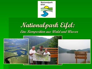 Nationalpark Eifel:   Eine Komposition aus Wald und Wasser 