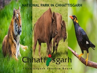 NATIONAL PARK IN CHHATTISGARH
 