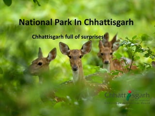 National Park In Chhattisgarh
Chhattisgarh full of surprises!
 