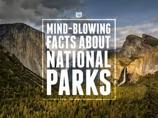 Mind-Blowing Facts About National Parks