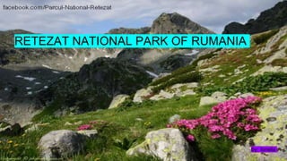 RETEZAT NATIONAL PARK OF RUMANIA
by: Ionela
 
