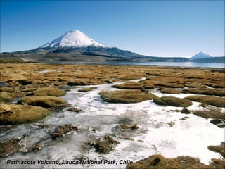 Parinacota Volcano, Lauca National Park, Chile 