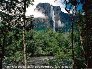 Angel Falls Orinoco Basin, Canaima National Park Venezuela   