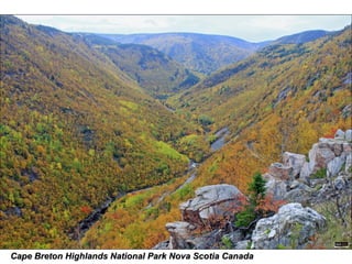 Cape Breton Highlands National Park Nova Scotia Canada 
