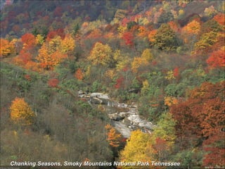 Chanking Seasons, Smoky Mountains National Park Tennessee 