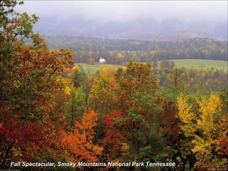 Fall Spectacular, Smoky Mountains National Park Tennessee 