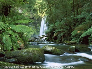 Hopetoun Falls Aire River, Otway National Park Victoria, Australia 