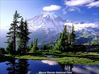 Mount Rainier National Park 