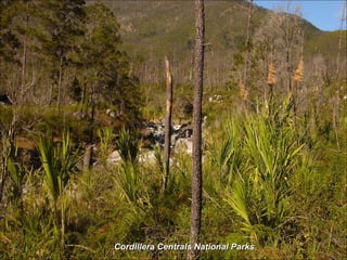 Cordillera Centrals National Parks 