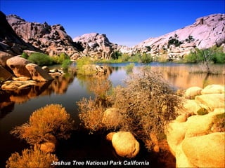 Joshua Tree National Park California 